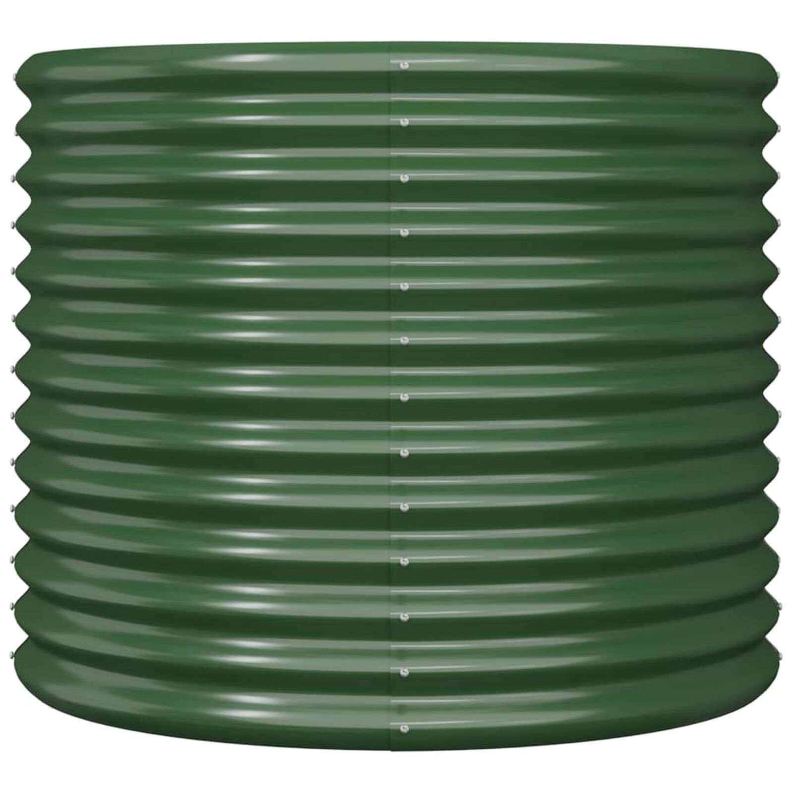 Pelouse et jardin   VidaXL 318858 Vert