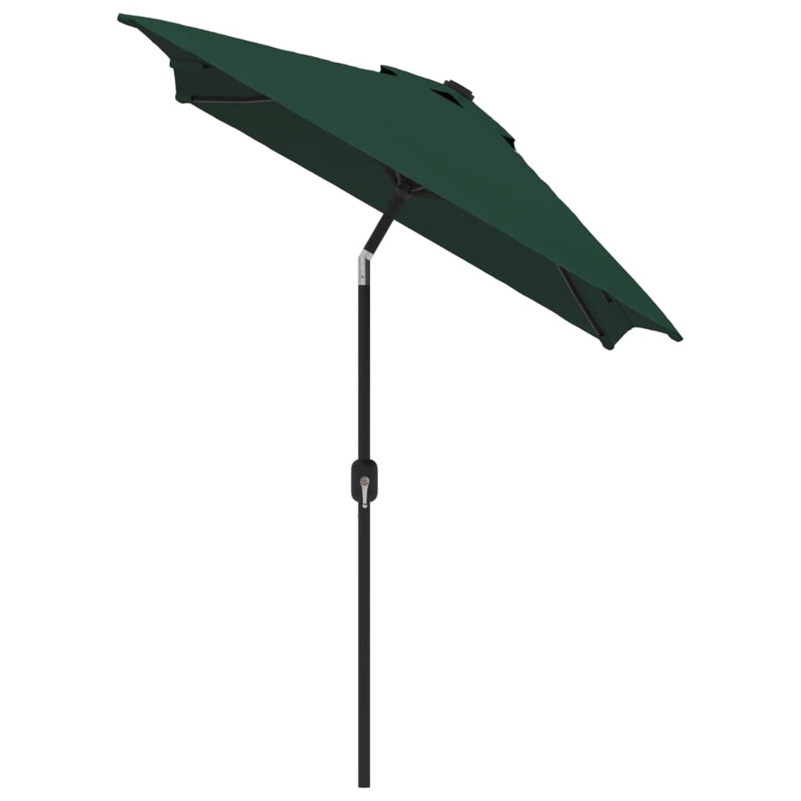 Pelouse et jardin   VidaXL 362985 Vert
