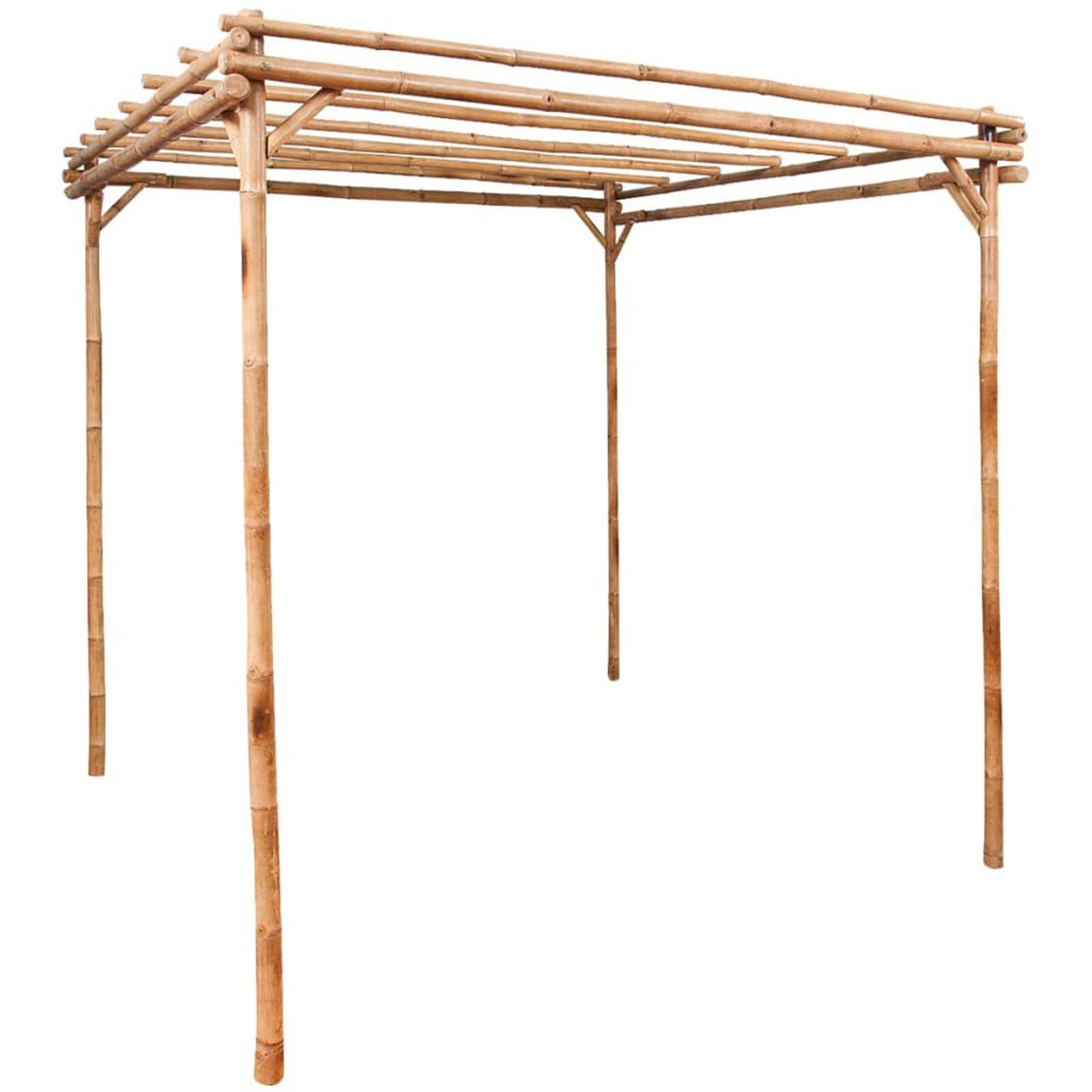 Pelouse et jardin   VidaXL 49296 Marron