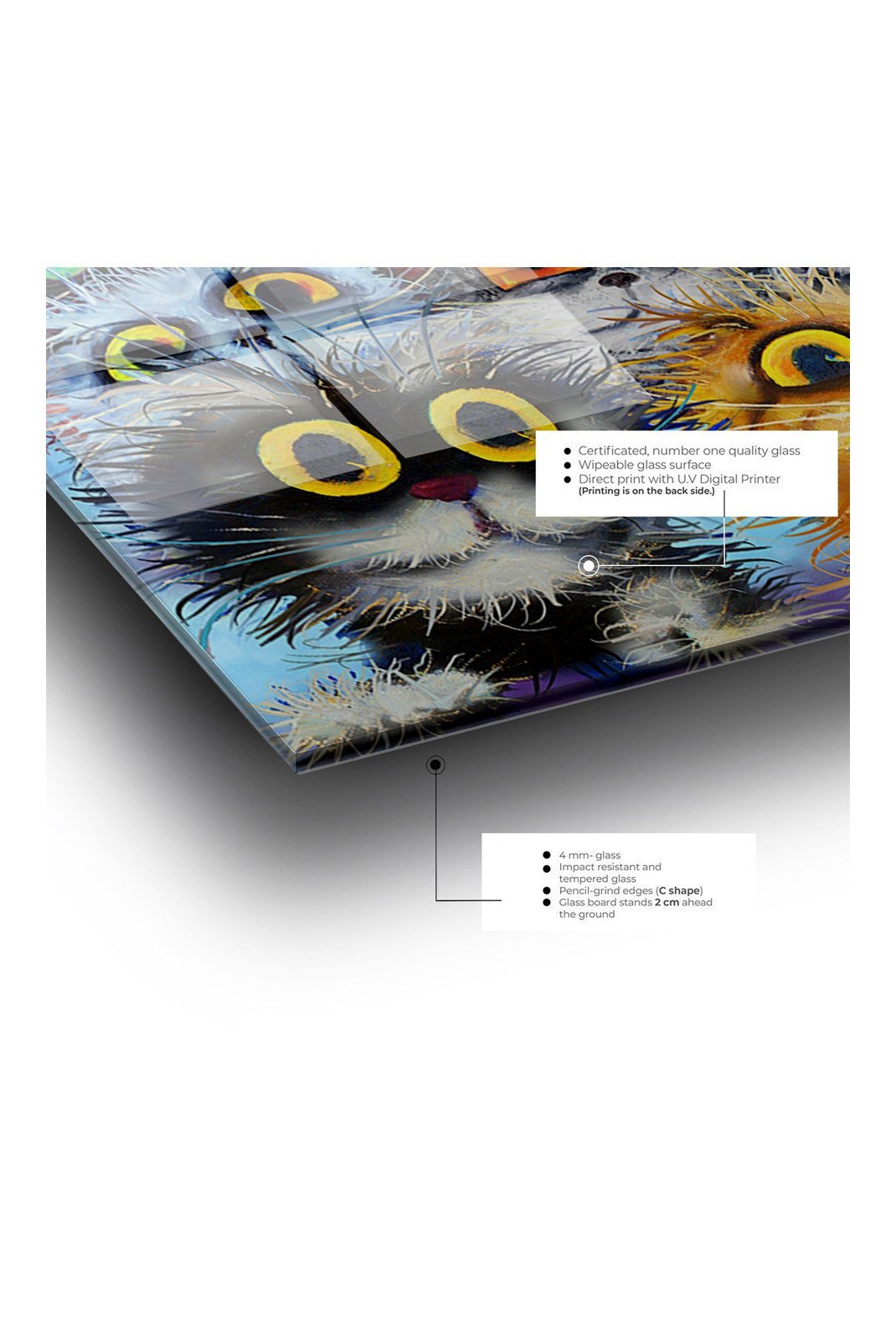 Toiles et posters  Wallity 401MGN1164 