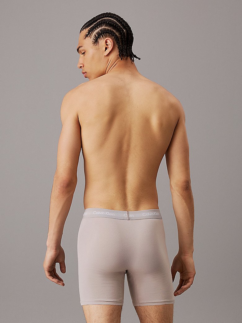 Slips / Boxers  Calvin klein 000NB1770A QRH BLACK, HEMISPHERE BLUE, ASH
