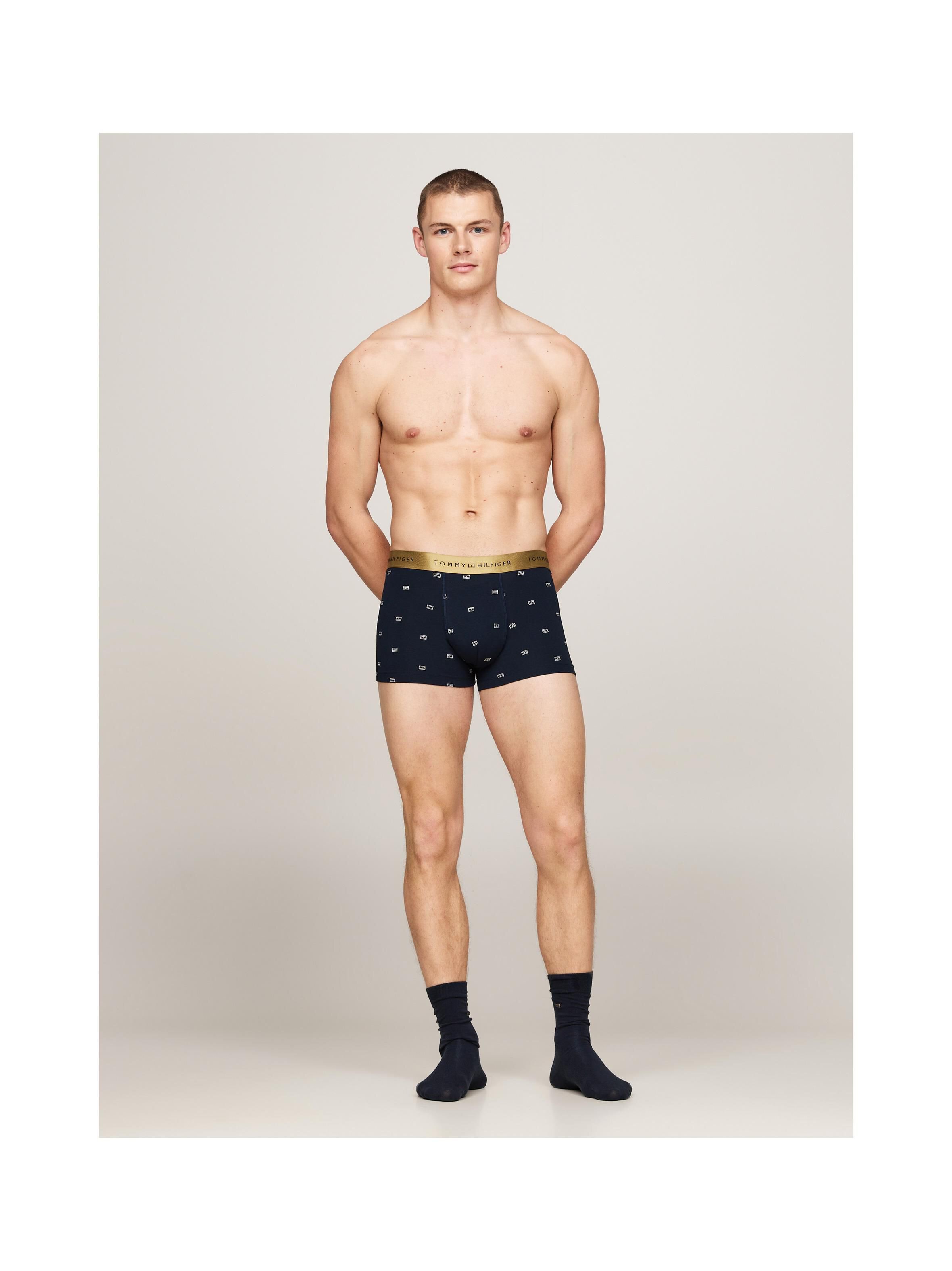 Underwear  Tommy Hilfiger UM0UM03381 0YX Outline Flag/Desert Sky
