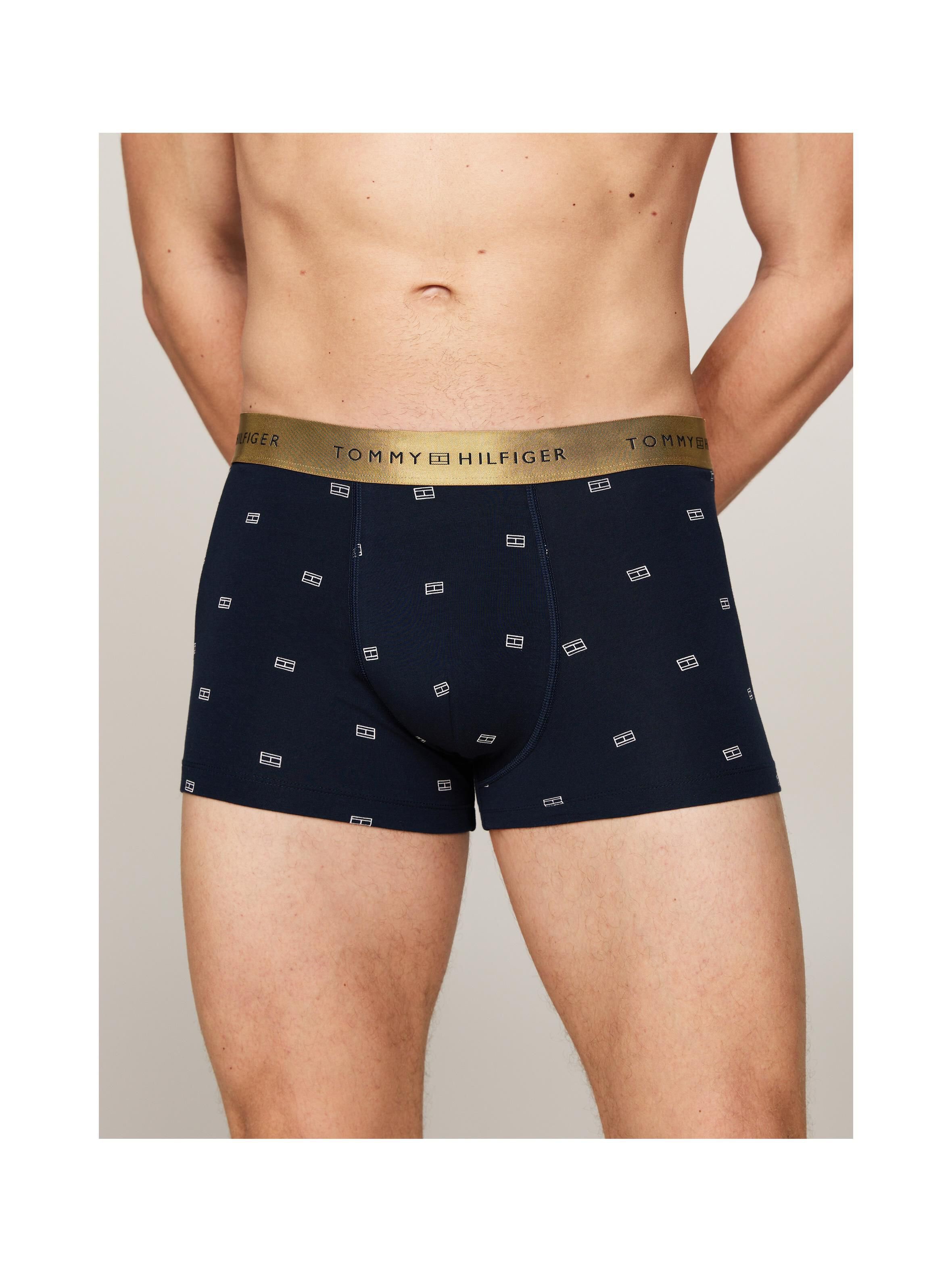 Underwear  Tommy Hilfiger UM0UM03381 0YX Outline Flag/Desert Sky
