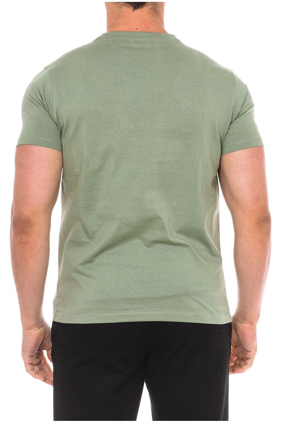 T-S manches courtes  U.S. Polo Assn. 66893-148 Green 