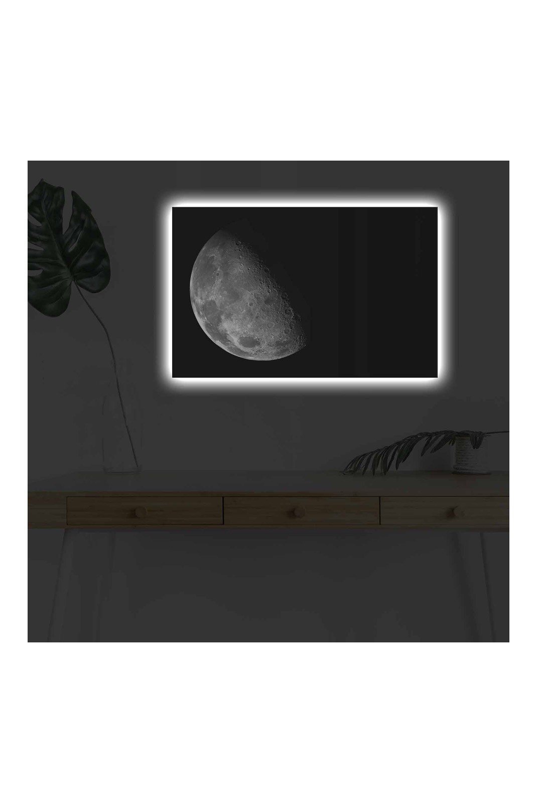 Objet mural décoratif  Neon graph 254LED4352 Multicolor 