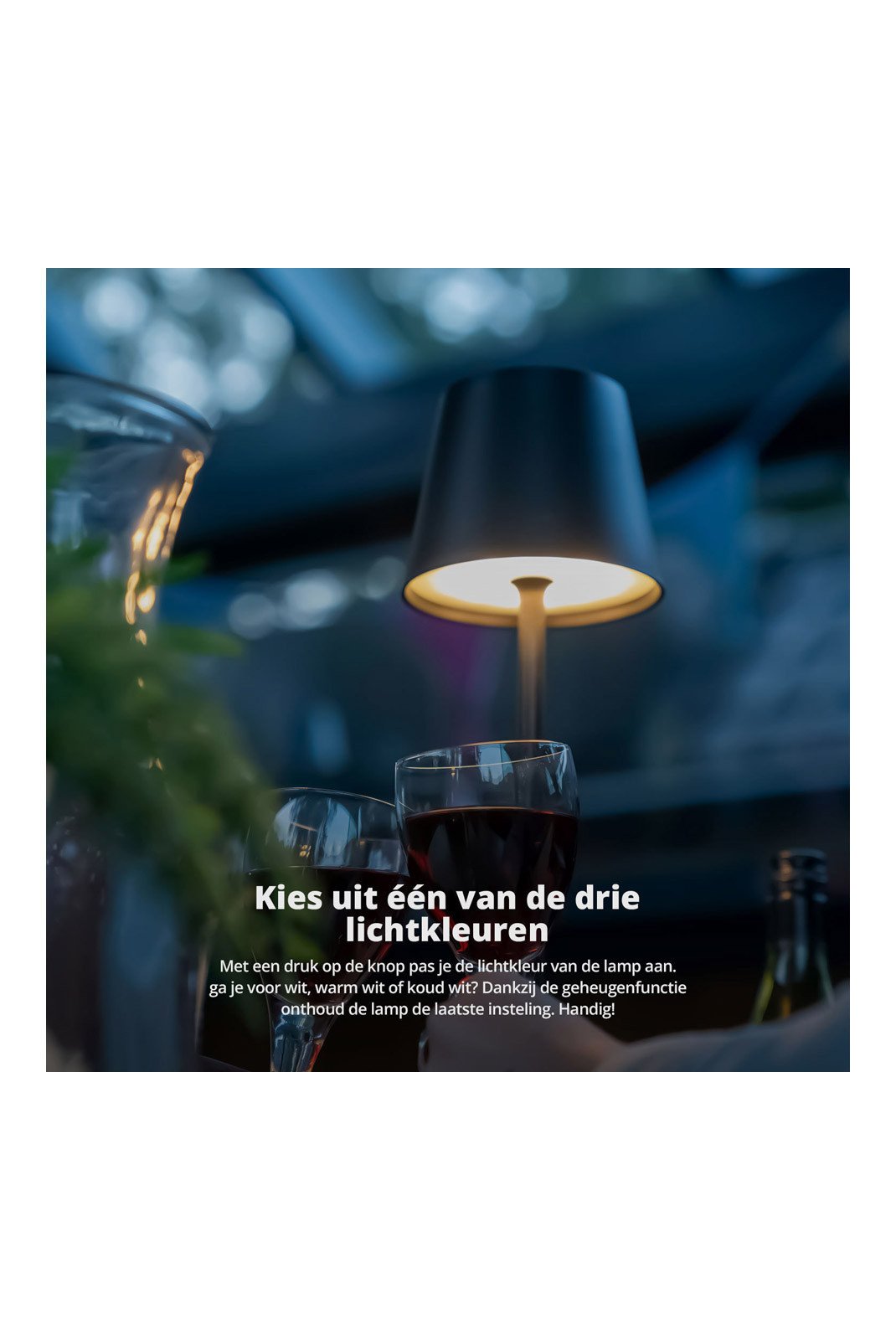 Home & Deco  FLINQ 8720955003476 