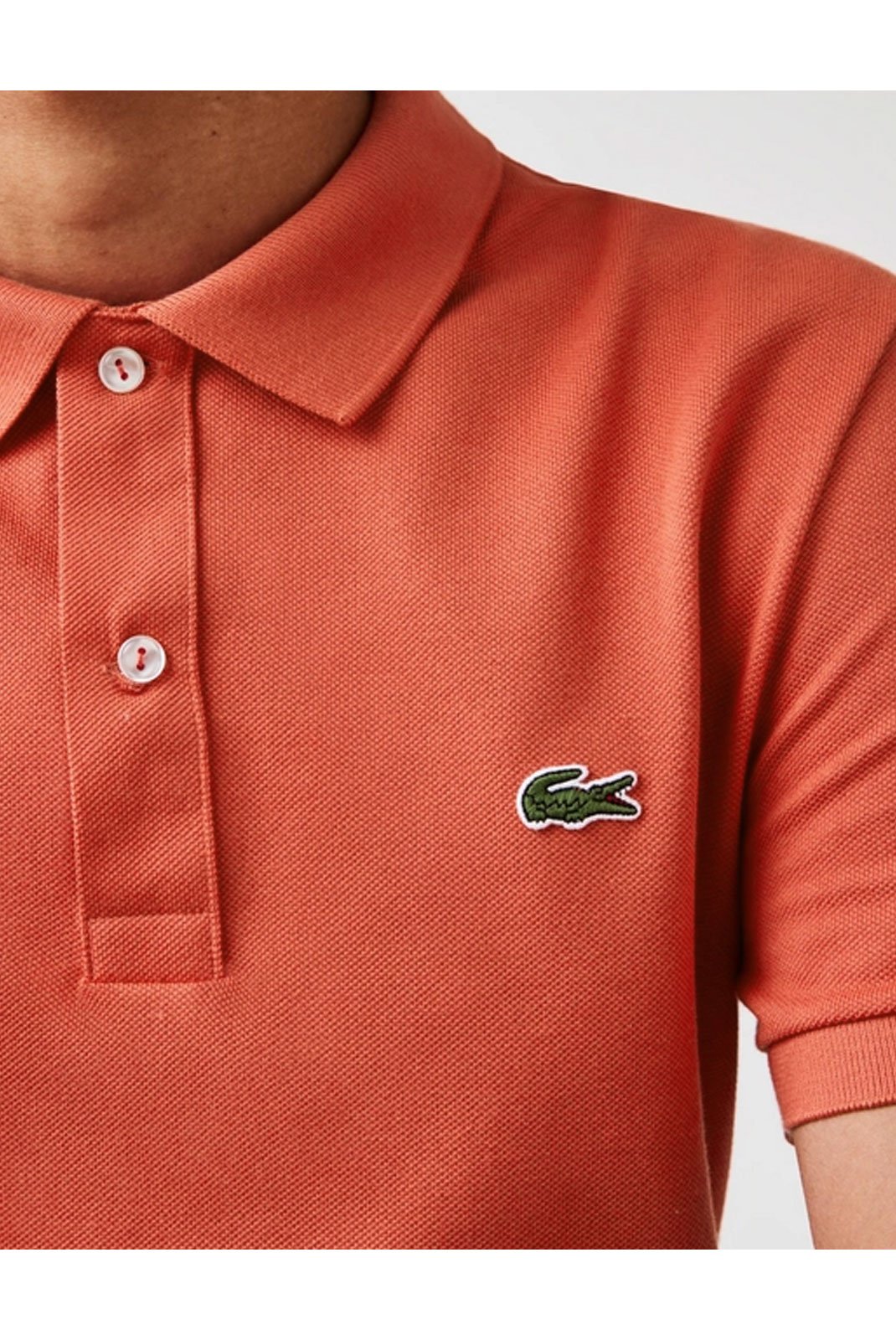 Polos manches courtes  Lacoste L.12.12 67G Crater