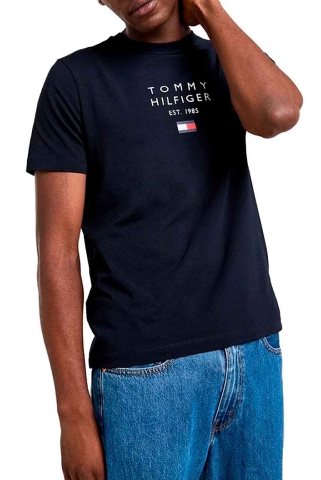 T-S manches courtes  Tommy Hilfiger MW0MW38072 DW5 Desert Sky