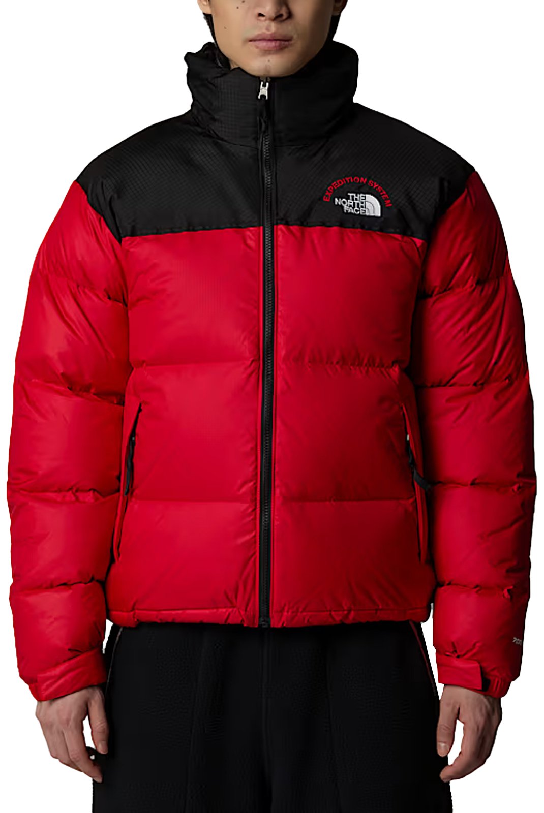 Blousons / doudounes  The North Face NF0A3C8D 7GO TNF Red-TNF Black-TNF Red