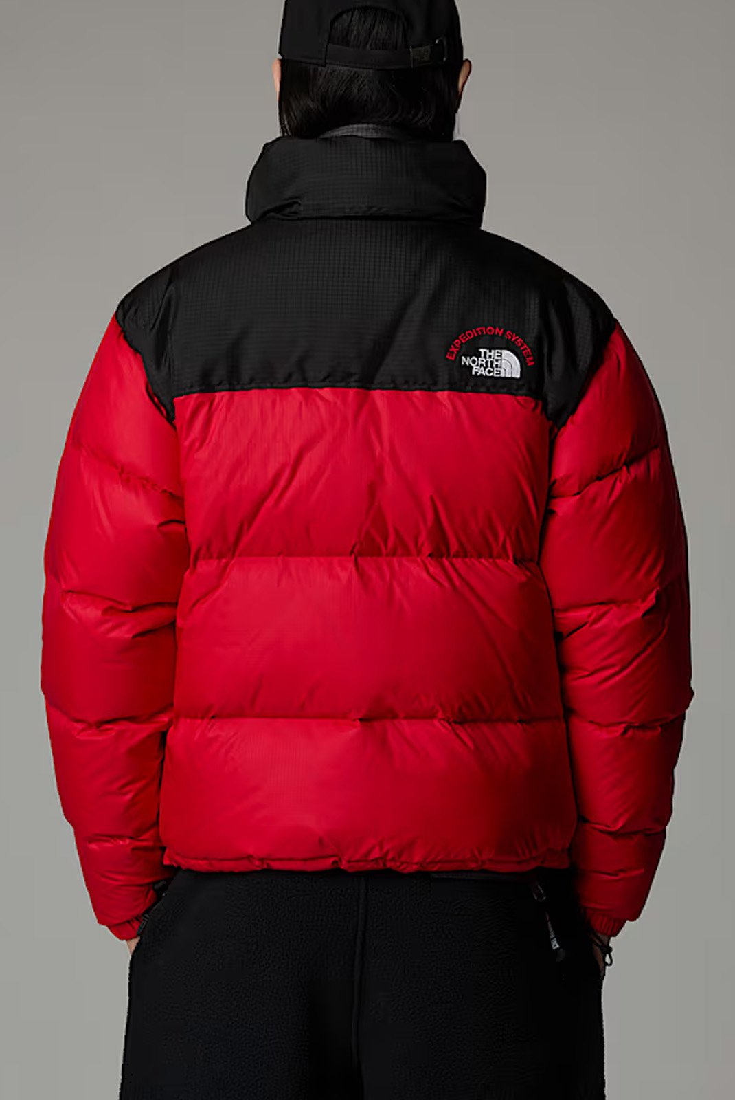 Blousons / doudounes  The North Face NF0A3C8D 7GO TNF Red-TNF Black-TNF Red